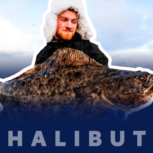 Nejlepší výbava na halibuta: co opravdu potřebuješ, a co je jen marketing