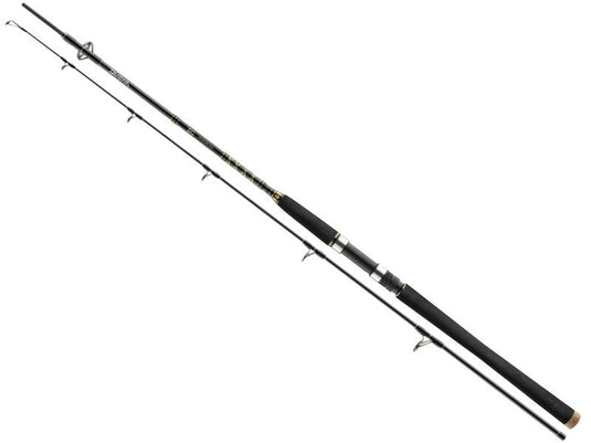 DAIWA BG Offshore Pilk 2,1m 40-125g