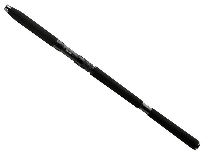 Načtěte obrázek do galerijního prohlížeče, DAIWA BG Deep Sea 2,2m 150-300g
