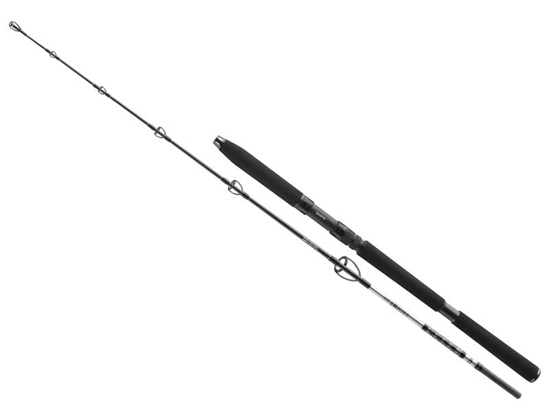 Załaduj obraz do przeglądarki galerii, DAIWA BG Sea Jigger 1,7m 150-400g
