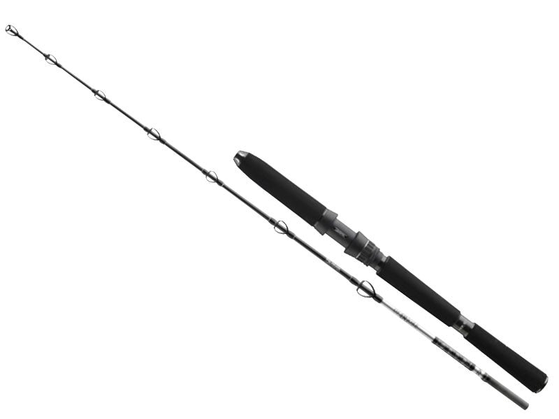 Načtěte obrázek do galerijního prohlížeče, DAIWA BG Deep Sea 2,2m 150-300g
