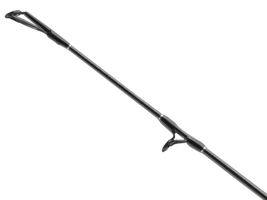 DAIWA BG Deep Sea 2.2m 150-400g