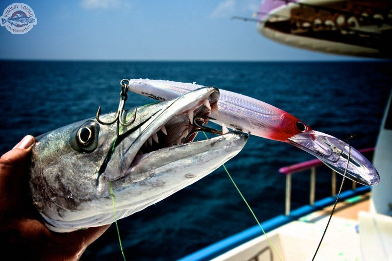 Załaduj obraz do przeglądarki galerii, Rapala Magnum 22cm 100g Fire Tiger
