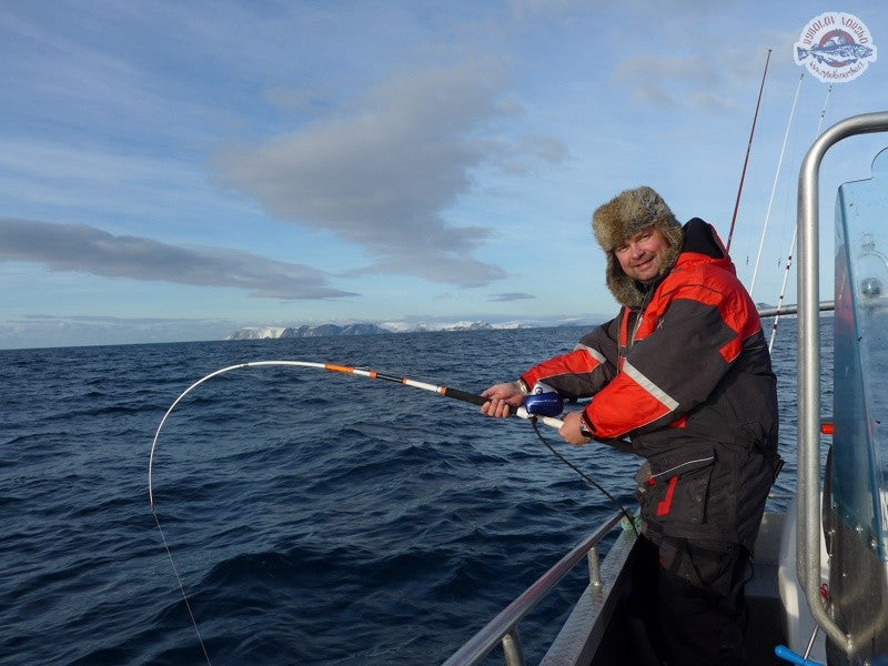 Načtěte obrázek do galerijního prohlížeče, Daiwa Sealine X treme Inline 15-30lbs 2.35m Travel 4 díly
