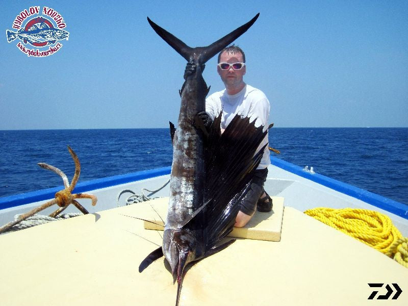 Załaduj obraz do przeglądarki galerii, Rapala Słonowodna X-RAP Magnum 20cm Bonito
