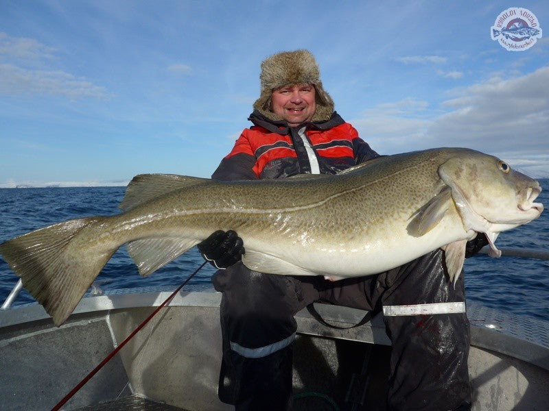 Načtěte obrázek do galerijního prohlížeče, Daiwa Sealine X treme Inline 15-30lbs 2.35m Travel 4 díly
