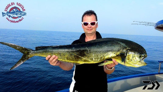 Rapala Słonowodna X-RAP Magnum 20cm Bonito