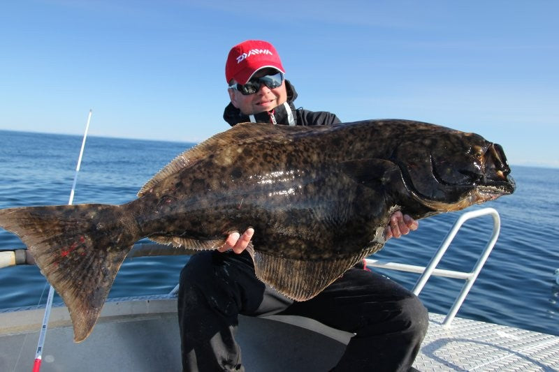 Załaduj obraz do przeglądarki galerii, Savage Gear Nordic Bait Fish Halibut 500g 12/0
