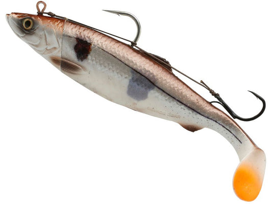 4D Śledź Duży Shad 32cm 560g Prawdziwy śledź