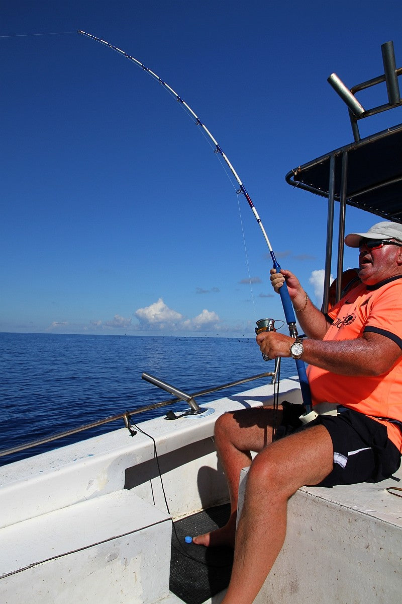 Načtěte obrázek do galerijního prohlížeče, WFT Electra Speed Jig 2m 200-1000g dvoudíl
