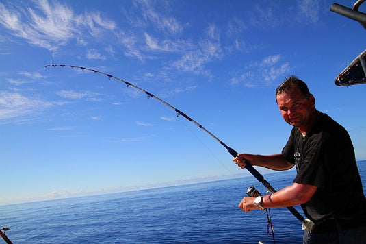 WFT Electra Speed Jig 2m 200-1000g dvoudíl