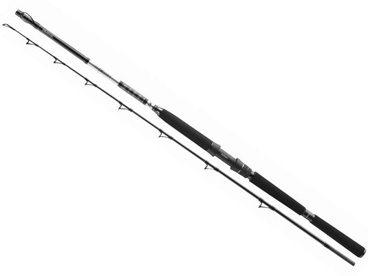 DAIWA BG Deep Sea 2.2m 150-400g