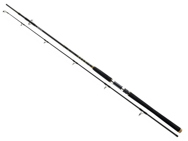 Załaduj obraz do przeglądarki galerii, DAIWA BG Offshore Pop 2,3 m 40-150 g
