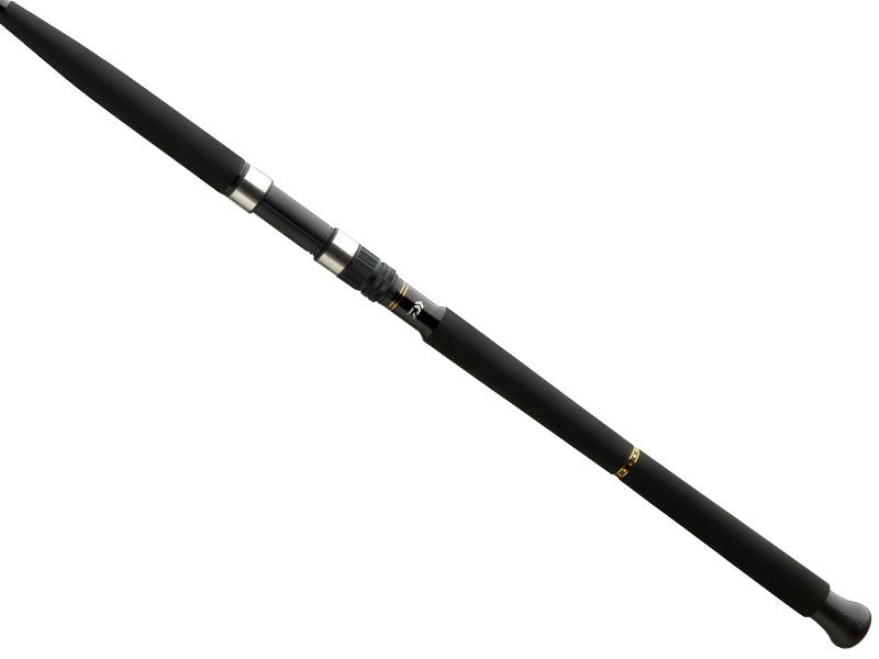 Načtěte obrázek do galerijního prohlížeče, Daiwa BG Boat 2,1m 150-400g
