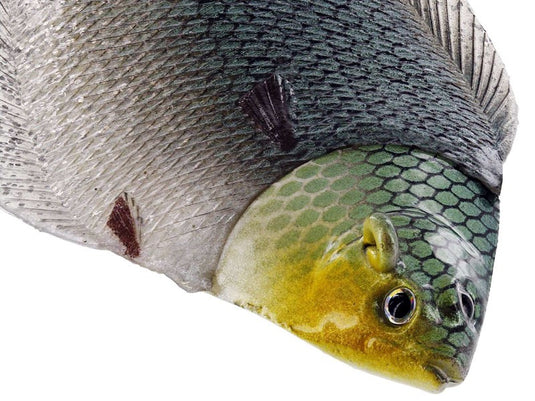 Flacher Matt-Jig 13 cm 85 g Blutende Flunder